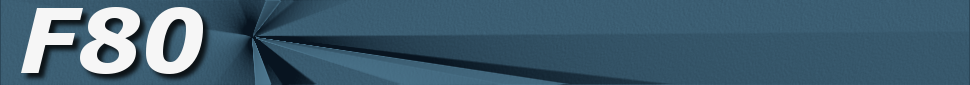 Falcon80 Logo